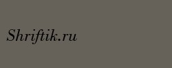Bodoni Book Italic BT 